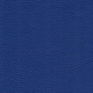 Standard - Royal Blue