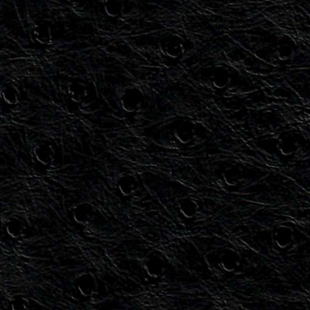 Ostrich Material Color - Black